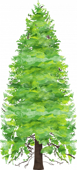 Forest clipart watercolor, Forest watercolor Transparent ...