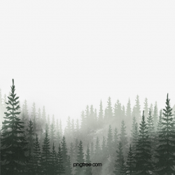 Watercolor Woods, Watercolor Clipart, Forest, Pine PNG ...