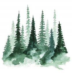 Download Of Study Tree Pine Watercolor Forest Painting ...