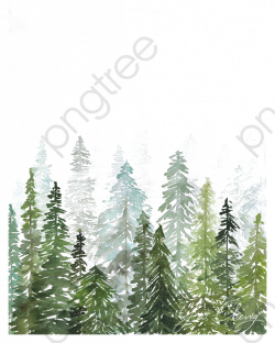 Watercolor Woods, Watercolor Clipart, Forest, Pine PNG ...