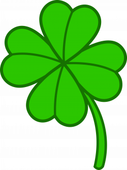 Little 4 Leaf Clover | Four leaves, Four leaf clover, 4 leaves