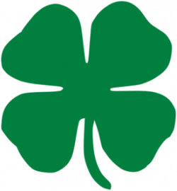 Four Leaf Clover Clip Art at Clker.com - vector clip art ...