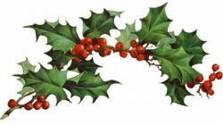 Christmas Clipart Holly Vintage | Holiday Crafts & Cooking ...