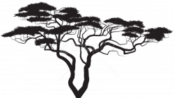 Branch Palm trees Trunk Clip art - cattail silhouette png de kooning ...