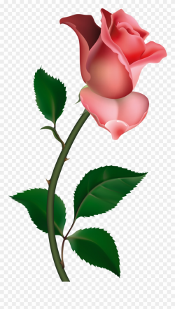 Roses Clip Art - Free Clipart Rose - Png Download (#46320) - PinClipart