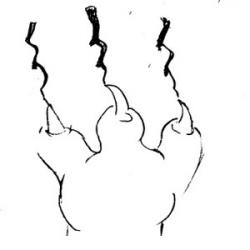 Free Scratch Cliparts, Download Free Clip Art, Free Clip Art on ...