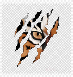 Download Claw Free Photo - Tiger Scratch Png, Transparent Png ...