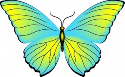 Butterfly Clipart | Clipart Panda - Free Clipart Images