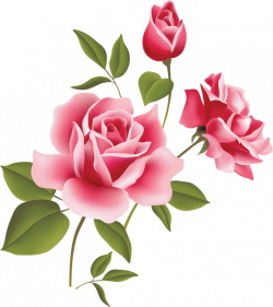 Free Roses Images Free, Download Free Clip Art, Free Clip Art on ...