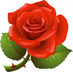 Free Rose Cliparts, Download Free Clip Art, Free Clip Art on Clipart ...