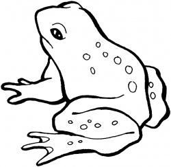 Best Frog Clipart Black And White #13263 - Clipartion.com