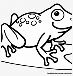 Download Free png Black And White Frog Clipart 19 Tree Frog Png ...