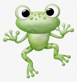 Tree Frog Clipart Froggy - Ranas Tiernas Transparent PNG - 756x800 ...