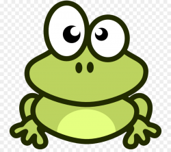 Frog, Amphibians, Cartoon, transparent png image & clipart free download