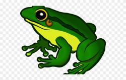 Green Frog Clipart Teacher - Frog Png Clipart Transparent Png ...