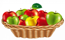 Fruit Basket PNG Clipart | Gallery Yopriceville - High ...
