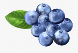 Blueberry Clipart Png - Free Clip Art Blueberries ...