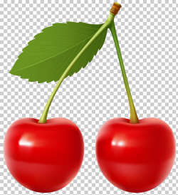 Cherry pie Fruit , Cherries Transparent , cherry fruit ...