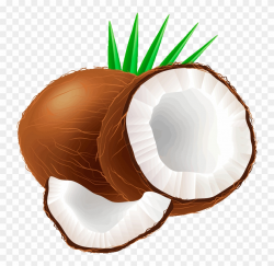 Coconut Clipart - Coconut Fruit Clipart - Png Download ...