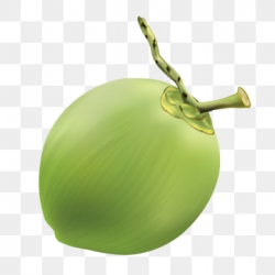 Coconut Clipart Images, 478 PNG Format Clip Art For Free ...