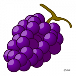 Grapes grape pictures of clipart and graphic design and ...