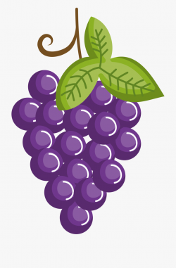 Grape Fruit Purple Transprent Png Free Download - Grapes ...