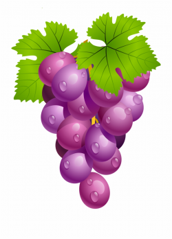 Clipart Black And White Grapes With Leaves Png Clipart ...