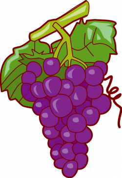 Grape download fruit clip art free clipart of fruits apple ...
