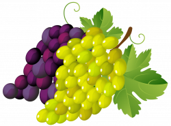 Free Grapes Clipart, Download Free Clip Art, Free Clip Art ...