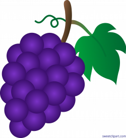 Grape clipart fruit, Grape fruit Transparent FREE for ...