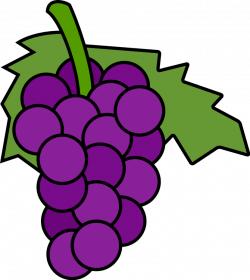 Grapes clipart 3 - Clipartix