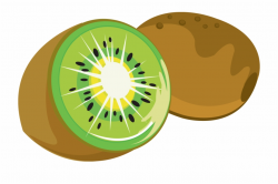 Clipart Of Kiwi | miul