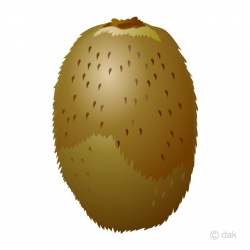 Free Kiwi Fruit Clipart Image｜Illustoon