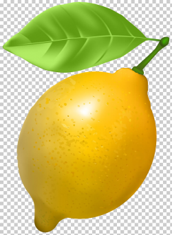 Lemon , Lemon Transparent , yellow lemon fruit graphics art ...