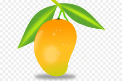 Mango Leaf clipart - Mango, Fruit, Food, transparent clip art