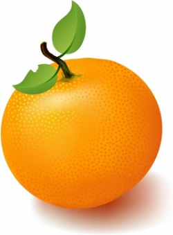 Orange fruit clipart free vector download (7,155 Free vector ...