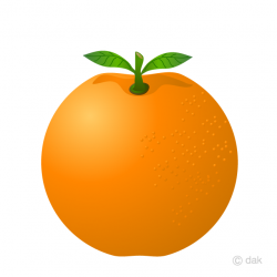 Free Orange Clipart Image｜Illustoon