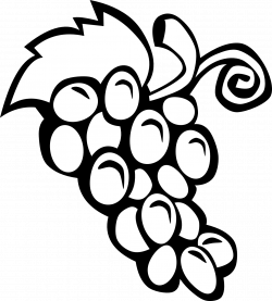Black And White Fruit Clipart | Clipart Panda - Free Clipart ...