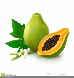 Clipart Papaya Fruit | Free Images at Clker.com - vector ...