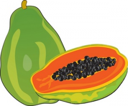 Free Pawpaw Cliparts, Download Free Clip Art, Free Clip Art ...