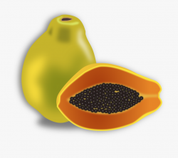 Free Fruit Clipart Animations And Vectors - Papaya Clipart ...