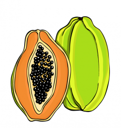 Free Papaya Cliparts, Download Free Clip Art, Free Clip Art ...