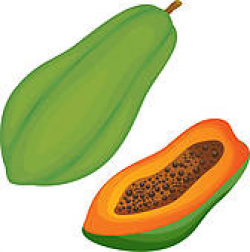 Free Papaya Cliparts, Download Free Clip Art, Free Clip Art ...