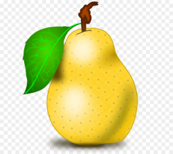 Fruit Tree clipart - Pear, Fruit, Food, transparent clip art