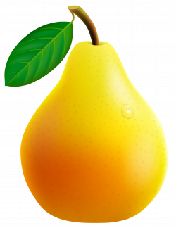 Yellow Pear PNG Vector Clipart Image | Gallery Yopriceville ...
