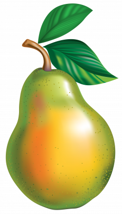 Pear PNG Clipart Picture | Gallery Yopriceville - High ...