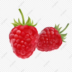Fruit Drawing Clipart Raspberry, Fruit Logo, Set Clipart ...