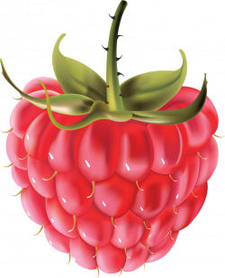 Pin by Hopeless on Clipart | Raspberry, Red fruit, Fruit