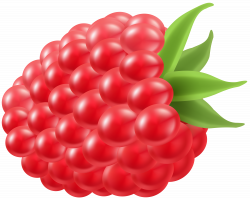 Raspberry PNG Clip Art Image | Gallery Yopriceville - High ...
