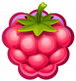 Raspberry Fruit | Displaying 16> Images For - Raspberries ...